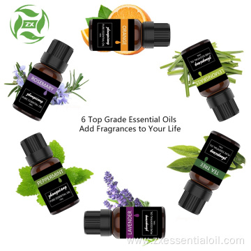 Relaxing Moisturizing Repairing Natural Pure Essential Oil Set